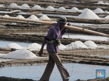 Heboh Pipa Impor Jokowi Murka, Garam Impor Tak Kalah Epik Lho