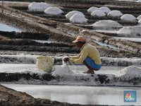 Garis Pantai RI Terpanjang Garam Masih Impor, Aneh Nggak?
