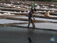 Ini Bukti Karut-marut Data Garam Nasional