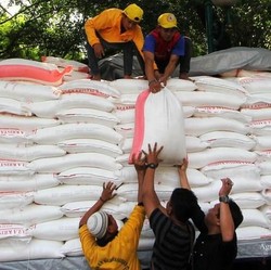 Jokowi Soroti Defisit Stok Pangan, Bulog akan Impor Gula