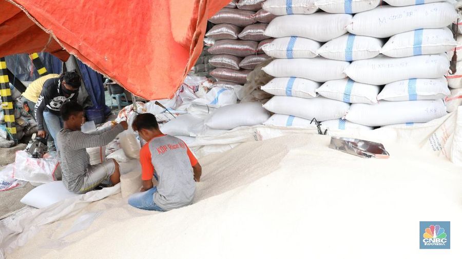 Panen Raya Menjadi Penyelamat Harga Beras