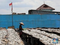 Manisnya Harga Ikan Asin di Musim Hujan