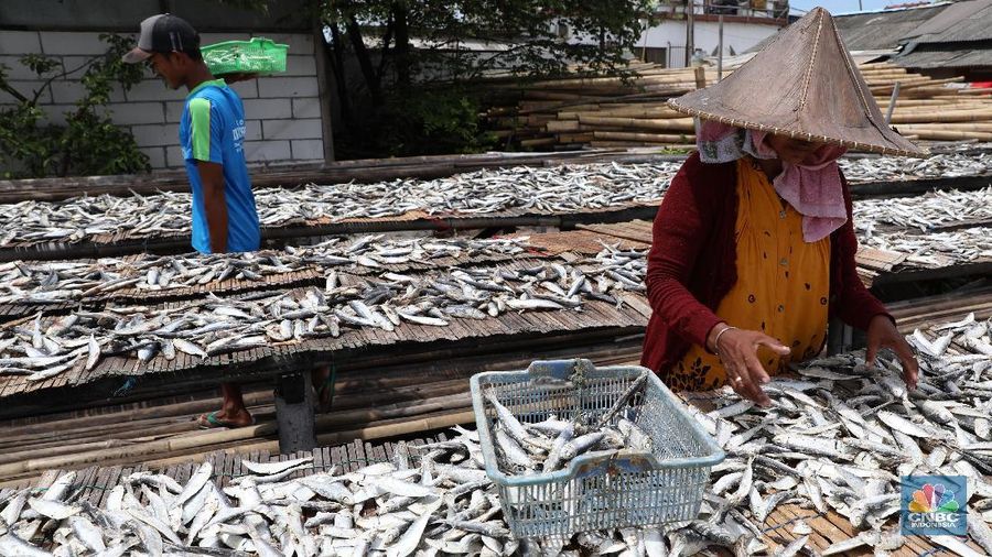 Memasuki puncak musim hujan penjualan ikan asin meningkat dari harga sebelumnya Rp 18.000 naik menjadi Rp 20.000-Rp 25.000.