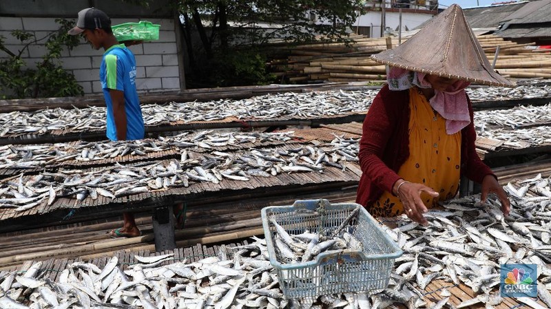 Memasuki puncak musim hujan penjualan ikan asin meningkat dari harga sebelumnya Rp 18.000 naik menjadi Rp 20.000-Rp 25.000.