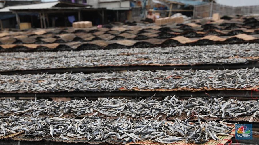 Memasuki puncak musim hujan penjualan ikan asin meningkat dari harga sebelumnya Rp 18.000 naik menjadi Rp 20.000-Rp 25.000.