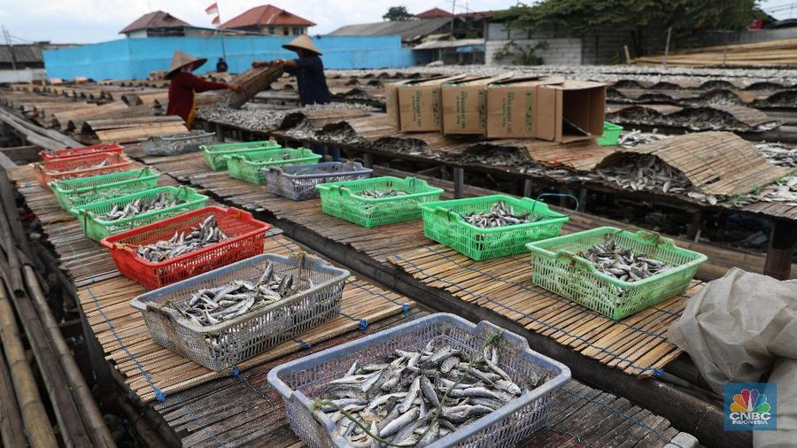 Memasuki puncak musim hujan penjualan ikan asin meningkat dari harga sebelumnya Rp 18.000 naik menjadi Rp 20.000-Rp 25.000.