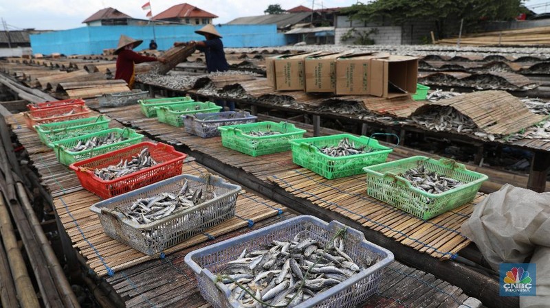 Memasuki puncak musim hujan penjualan ikan asin meningkat dari harga sebelumnya Rp 18.000 naik menjadi Rp 20.000-Rp 25.000.