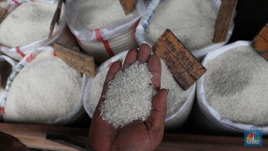 Beras Impor Masuk, Harga Justru Kian Mahal