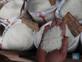 RI Impor 1 Juta Ton Beras Belum Terealisasi, Ini Sebabnya