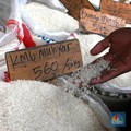 Mentan: Harga Beras Mulai Turun