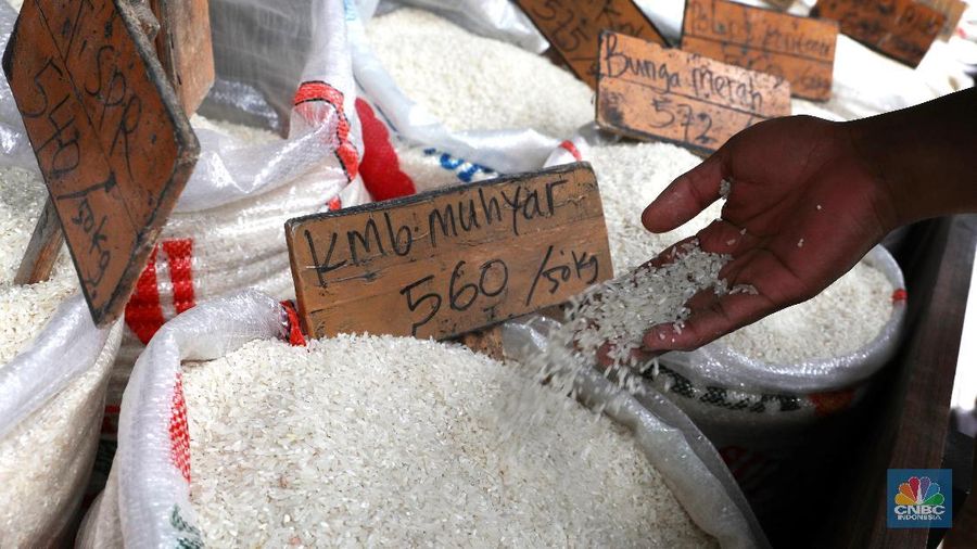Harga gabah di Pasar Induk Cipinang, Jakarta Timur, turun Rp 800/kg dan beras Rp 300/kg.