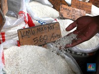 Mentan: Harga Beras Mulai Turun