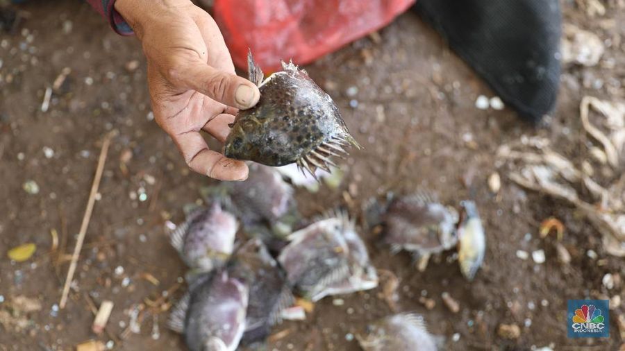 Sejumlah warga banyak menghabiskan waktu mereka dengan mencari ikan menggunakan jala di Pintu Air Weir 3 Marunda dengan kondisi air berbusa limbah rumah tangga.