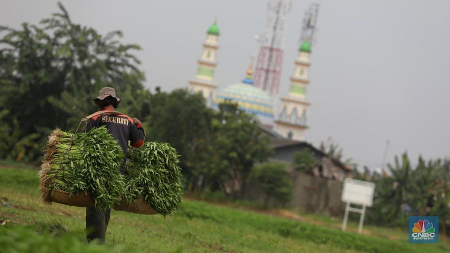 Pemerintah diminta bertindak tegas pada isu alih fungsi lahan yang kian marak terjadi.