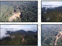 Target Jalan Trans Papua Rampung di 2019