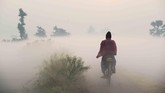 Seorang pekerja India mengendarai sepeda menembus tanah pertanian di pagi berkabut yang dingin di Kolkata. (AFP/ Dibyangshu SARKAR)