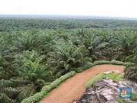 Malaysia Tolak Rencana UE Larang CPO Sebagai Bahan Biofuel