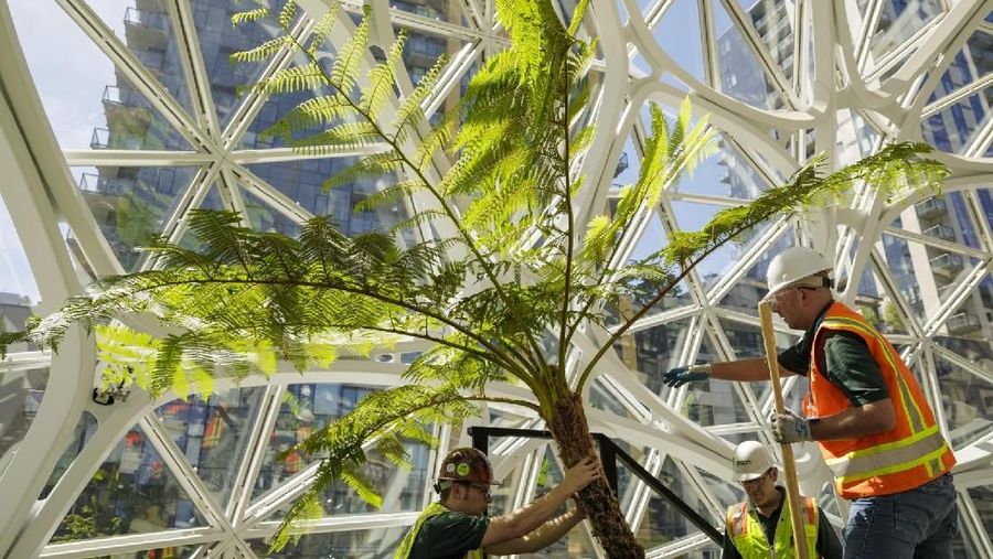 Amazon membuka kantor bernuansa hutan hujan di Seattle, Amerika Serikat (AS), dengan harapan bisa mendorong munculnya ide-ide baru dari karyawan.