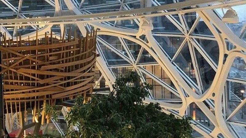 Amazon membuka kantor bernuansa hutan hujan di Seattle, Amerika Serikat (AS), dengan harapan bisa mendorong munculnya ide-ide baru dari karyawan.