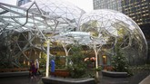 Layaknya hutan, kantor pusat terbesar kedua Amazon yang berlokasi di Seattle, AS ini kental akan nuansa khas hutan. (dok. REUTERS/Lindsey Wasson)