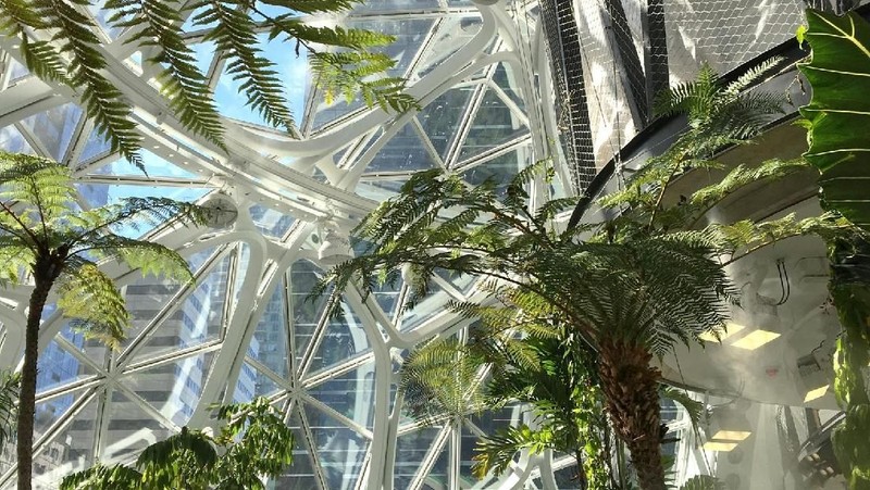 Amazon membuka kantor bernuansa hutan hujan di Seattle, Amerika Serikat (AS), dengan harapan bisa mendorong munculnya ide-ide baru dari karyawan.