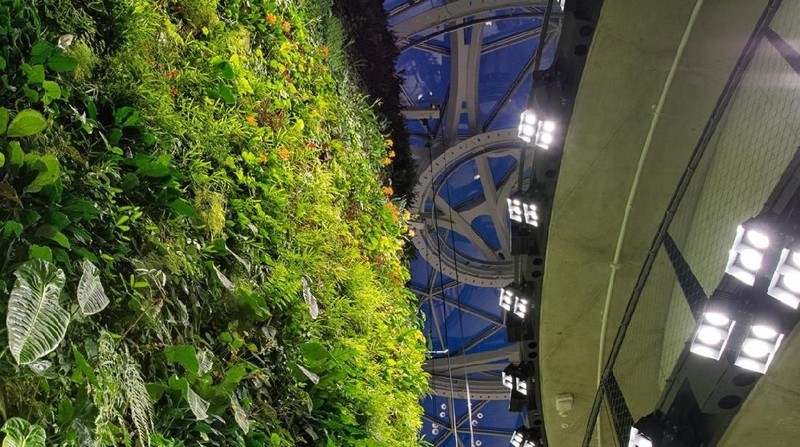 Amazon membuka kantor bernuansa hutan hujan di Seattle, Amerika Serikat (AS), dengan harapan bisa mendorong munculnya ide-ide baru dari karyawan.
