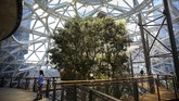 Selain menyediakan area bekerja, 'hutan' milik Amazon juga dilengkapi dengan kantin, gudang dan area parkir. (dok. REUTERS/Lindsey Wasson)