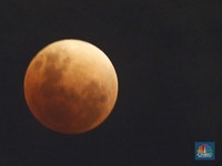 Setelah Planet Mars, UEA akan Kirimkan Misi ke Bulan