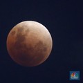 Sederet Fakta Soal Bumi Punya Dua Bulan