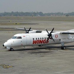 Heboh! Penumpang Teriak Ada Bom, Pesawat Delay di Semarang
