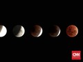 Hari Ini Terjadi Gerhana Bulan 'Super Blood Wolf Moon'