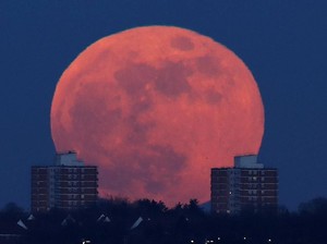 Fenomena Alam yang Cuma Terjadi Sekali dalam 100 Tahun