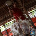 Live! Peternak Ayam Beberkan Nasib Mereka yang Mau Bangkrut