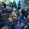 Jokowi Catat 'Dosa' Bupati Morotai, Apakah Itu?