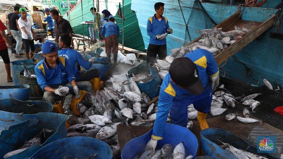 Kalangan nelayan asal Kabupaten Pulau Morotai mengaku tidak diperbolehkan menjual hasil tangkapan ikannya ke luar pulau.