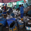 Proyek Ini Disebut Ampuh Berantas Momok Kronis Hantui Nelayan