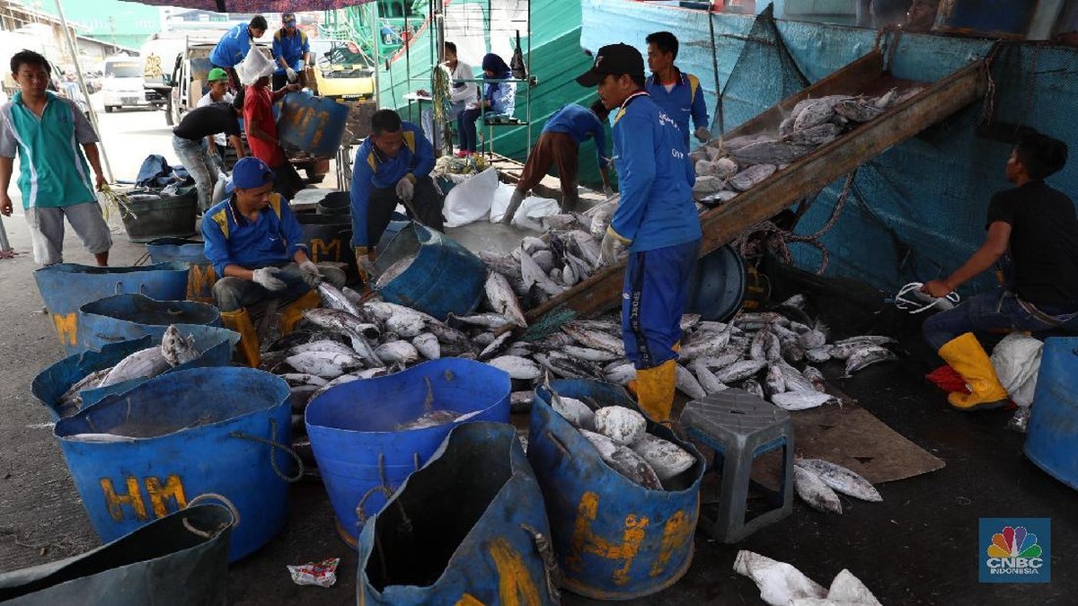 Proyek Ini Disebut Ampuh Berantas Momok Kronis Hantui Nelayan