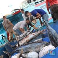 Lewat Perikanan, Jepang Bantu Memakmurkan Pulau Terluar RI