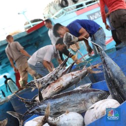 Lewat Perikanan, Jepang Bantu Memakmurkan Pulau Terluar RI