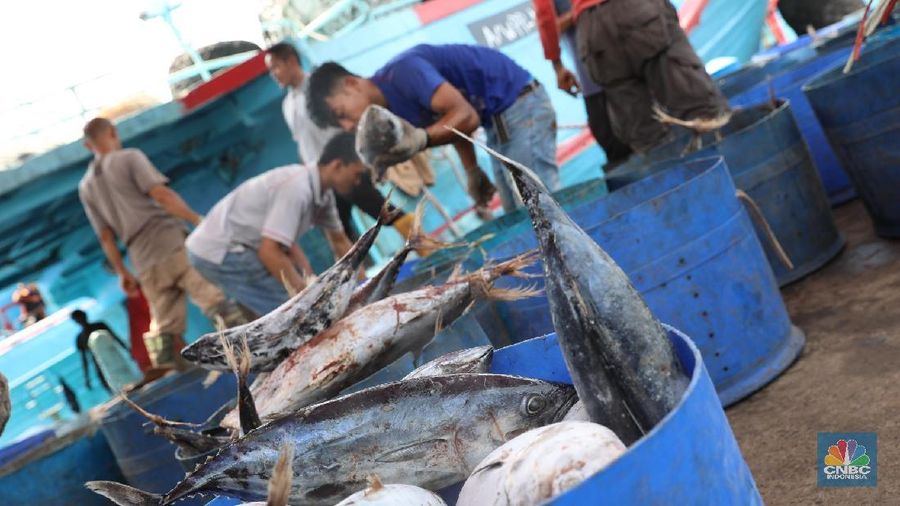 Wakil Presiden Jusuf Kalla (JK) menyinggung soal ilegal fishing di lautan Indonesia.
