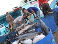 JK: Semoga Nelayan Maluku Tak Marah seperti di Somalia