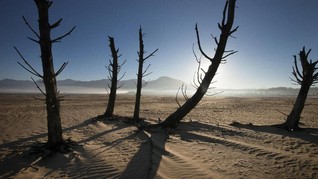 FOTO: Petaka Kemarau di Tanah Cape Town