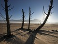 FOTO: Petaka Kemarau di Tanah Cape Town