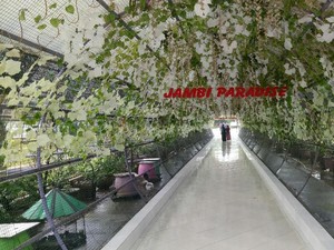 Wisata ke Jambi Paradise, Ini Lokasi dan Rutenya