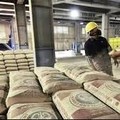 Semen Baturaja (SMBR) Bagikan Dividen Rp 24,31 Miliar, Cek Jadwalnya