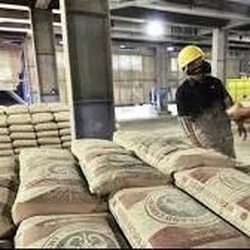 Semen Baturaja (SMBR) Bagikan Dividen Rp 24,31 Miliar, Cek Jadwalnya