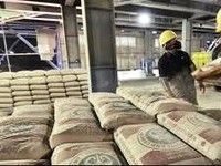 Resmi! Jokowi Kasih 75,51% Saham Semen Baturaja ke SMGR