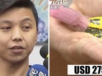 Pria Taiwan Digaji Rp 37 Juta untuk Mandikan Kura-Kura