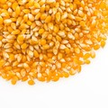 RI Surplus Tapi Impor Jagung, Ini Pandangan Pelaku Usaha