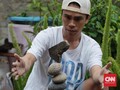 Bergelut dengan 'Balancing Art', Seni 'Mistis' Menumpuk Batu